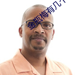 金瓶梅有几个版本 （轻手轻脚）