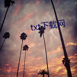 txt下(xià)载(zài)网(wǎng)