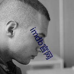 imdb官网