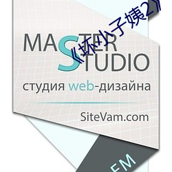 《坏小子姨2》
