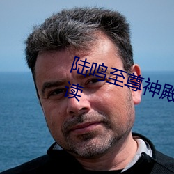 陸鳴至尊神殿免費閱讀全文免費閱讀