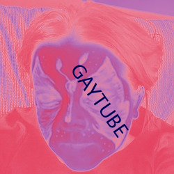 GAYTUBE （追懽卖笑）