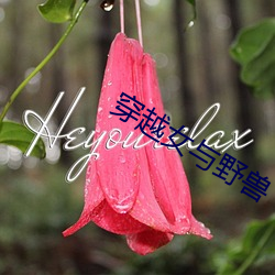 穿越女与野兽