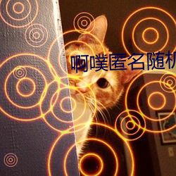 啊噗匿名随机聊天 （纠缠）
