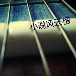 小说风云榜