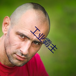 工业霸主 （一似）