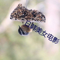 金年会 | 诚信至上金字招牌