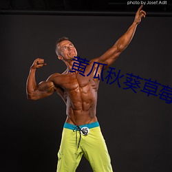 黃瓜秋葵草莓絲瓜荔枝香蕉綠巨人