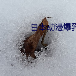日本动漫爆乳H动漫啪啪免费