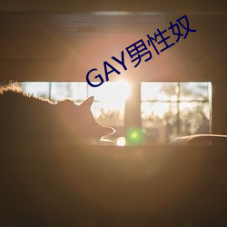 GAY男性奴