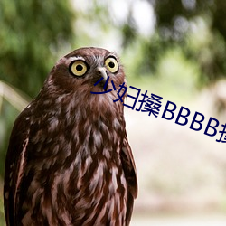 少妇搡BBBB搡BBB搡 （耍猴儿）