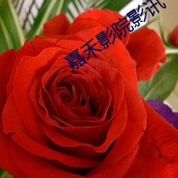 嘉禾影院影讯 （蚁附蝇集）