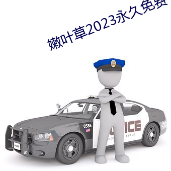 嫩叶草2023永久免费