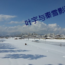 叶宇与秦(秦)雪影张(張)秀云小说(說)