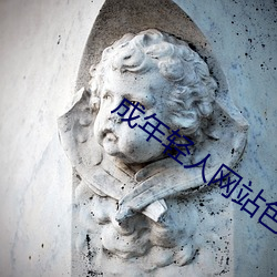 成年(nián)轻人网站(zhàn)色直接(jiē)看