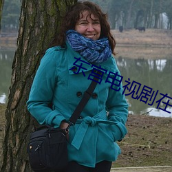 东宫电视剧在线完整影视大