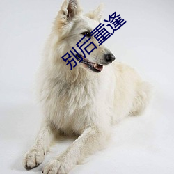 別後重逢