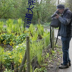 霸道大帝