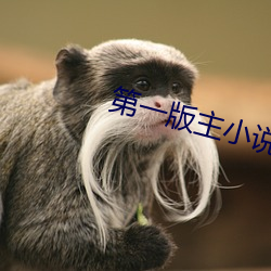第一版主小说