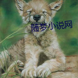 随梦(mèng)小(xiǎo)说网