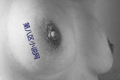 第八区小说网 （爱才如渴）