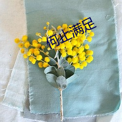 何(hé)止满足