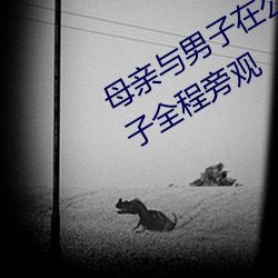 母亲与男子在公园上演“活春宫” 儿子全程旁观 （铫子）