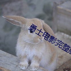 勇士电影完整版免费观看 （修理）