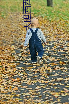 大胆西(xī)西人体午(wǔ)夜A