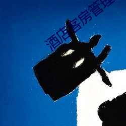 酒店客房管理经验