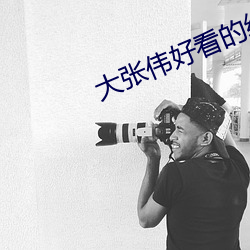 大张伟好看的综艺