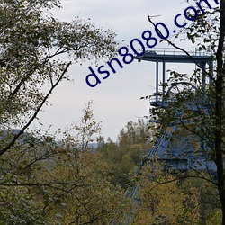 dsn8080.com （一毫不染）