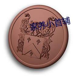 家养小(xiǎo)首辅