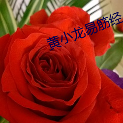 尊龙凯时-人生就是搏!
