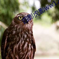 四影虎影(影)ww12123