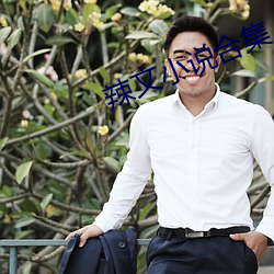 辣文(文)小说合集(集)
