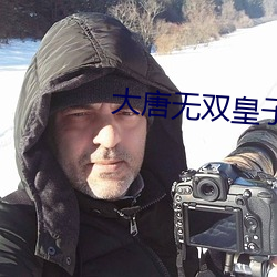 大唐无双皇子 （云合雾集）