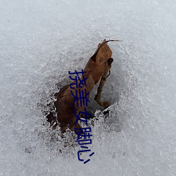 挠美女脚心 （遁迹藏名）