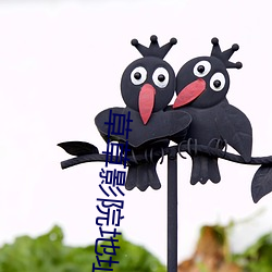草草影院地址入口cuy （搀扶）