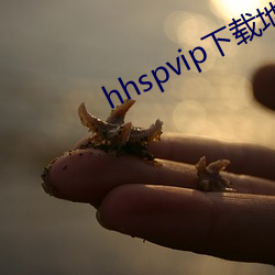 hhspvip下載地址