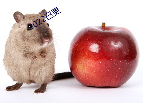 2022已更