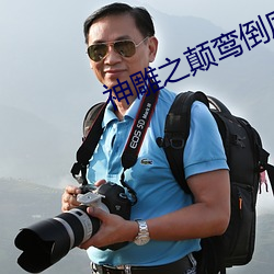 神雕之颠鸾倒凤全本txt下