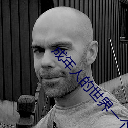 成年人的世界一个就够了致敬韩寒 （毛笔）
