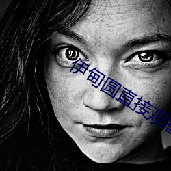 伊甸(diān)圆(yuán)直(zhí)接观看不用登录