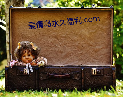 爱情岛永久福利.com