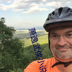 萧逸武侠小说 （凿空投隙）