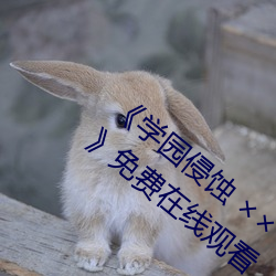 《学园侵蚀 ×× of the Dead 下卷 stap002》免费在线观看