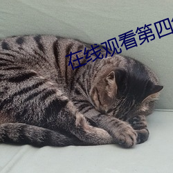 在線觀看第四集