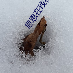 思思(思)在线(線)视频(頻)免费(費)观看