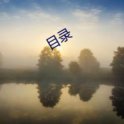 目录(lù)